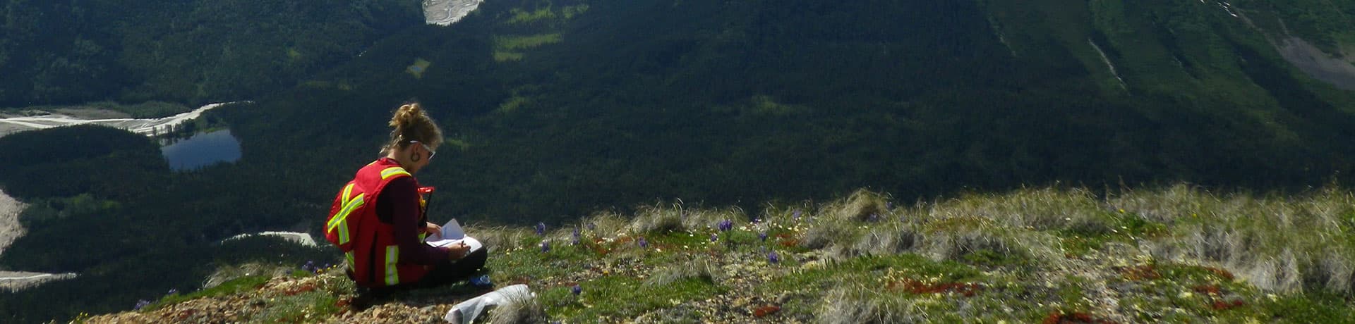 Copper Fox Metals — Management