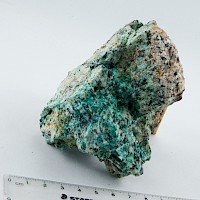 Disseminated malachite in PO quartz monzonite