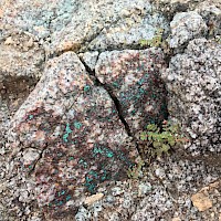 Outcrop of disseminated malachite in potassic altered quartz